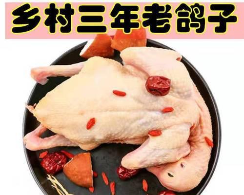 如何正确饲养土鸽？（从宠物的角度看待土鸽养殖）