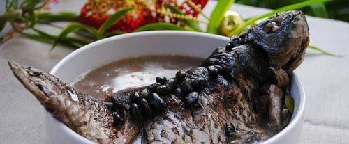 如何科学饲养黑斑鲫（一文教你成为黑斑鲫的贴心饲主）