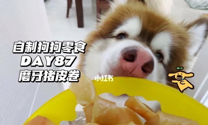 如何制作并储存长效狗零食（让宠物健康，享受美味）
