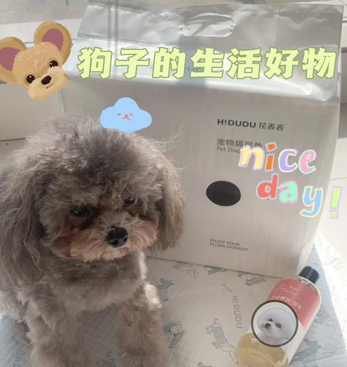 宠物狗的生活用品全解析（从食盆到牵绳，一步步为你打造完美的狗生活）