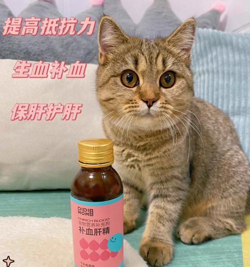 猫咪生病怎么办？提高免疫力，让宠物更健康（以宠物为主，让猫咪吃对食物，）
