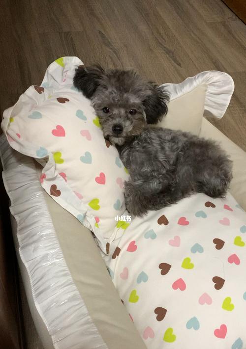 狗狗总打嗝的原因及应对方法（探究狗狗打嗝的原因、如何预防和处理）