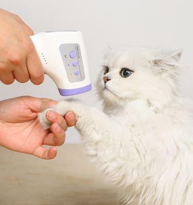 如何正确测量宠物猫咪的体温（掌握测量技巧，保护宠物健康）