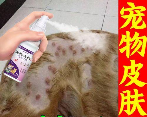 揭开狗狗得皮癣的真相（狗狗皮肤健康的关键在哪里？）