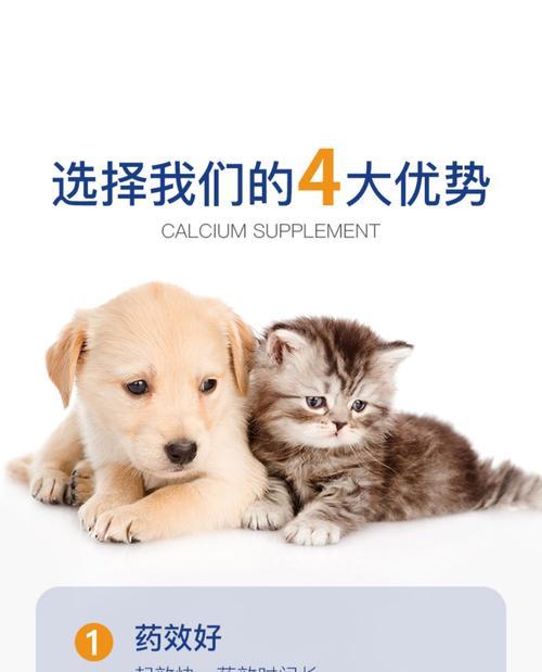 狗狗感冒咳嗽流绿鼻涕怎么办？（以宠物为主，探究药物治疗方法。）