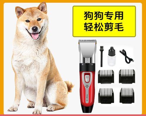 狗狗腿毛修剪图解，让你的宠物更加美丽（学会狗狗腿毛修剪，让你的爱犬更加时尚靓丽）