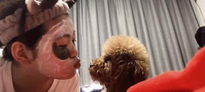 狗狗阴道息肉引发的流血问题详解（如何帮助宠物处理此类疾病）