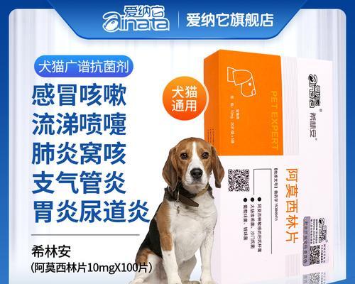 狗肺炎的症状及预防措施（以宠物为主，病从口入，预防胜于治疗）