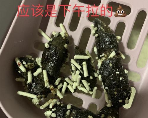 猫咪拉屎的形状（从猫咪拉屎的形态图谈起，探讨宠物饲养中的健康问题）
