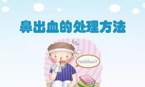 猫咪流鼻血怎么办？（宠物主人必读的止血方法及应对措施。）