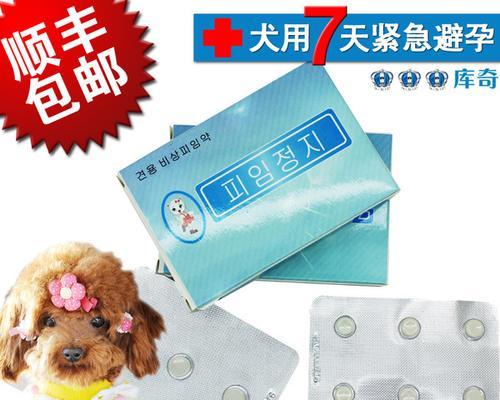 猫咪避孕药——能否有效避孕？