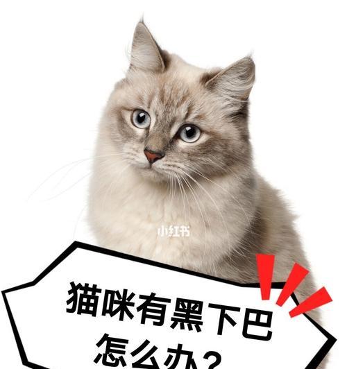 猫咪为什么会有黑下巴？（探究黑下巴现象的原因和影响）