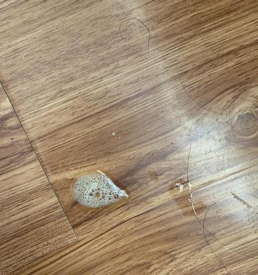 三个半月的猫咪吃什么吐什么原因解析（宠物猫咪的饮食与健康、如何避免猫咪呕吐）