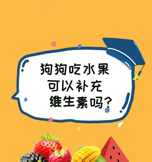 小狗开胃手术后的饮食指南（让你的宠物品尝美食，恢复健康）
