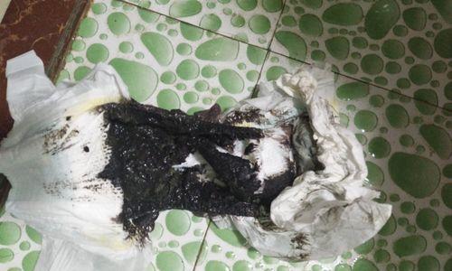 小猫大便黑，你需要知道的一切（宠物小猫大便黑色一粒一粒，注意身体健康）