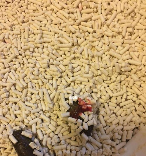 小猫一次性拉屎拉的特别多正常吗？（探究小猫排便量和健康状态的关系）