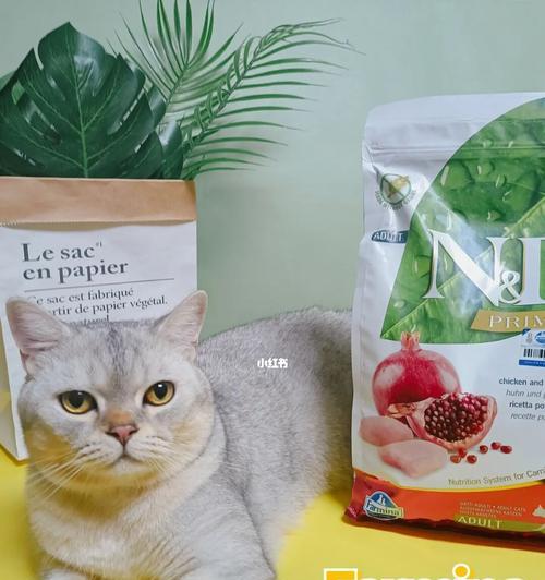 猫咪不吃猫粮的原因及应对方法（掌握猫咪饮食习惯，让它健康成长）