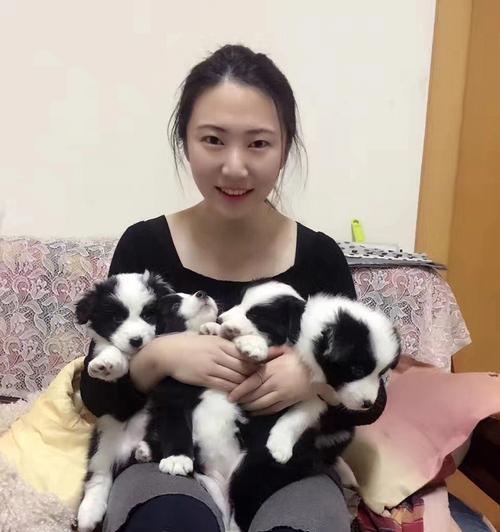 怀孕狗狗的肚子变化图详解（从怀孕到分娩，一步步看宠物肚子的变化）