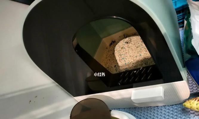 猫咪不会用猫砂盆？教你解决这个问题！