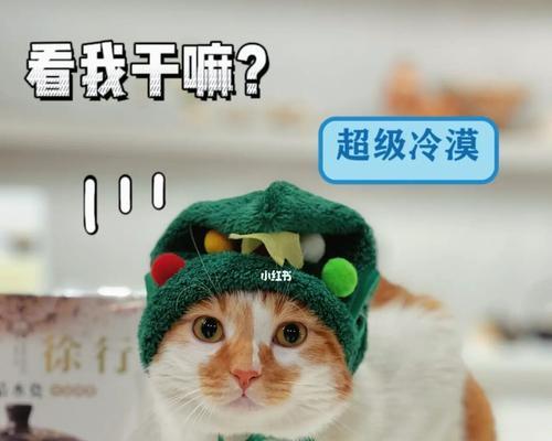 猫咪为什么老是发抖？——揭秘猫咪发抖的原因和处理方法