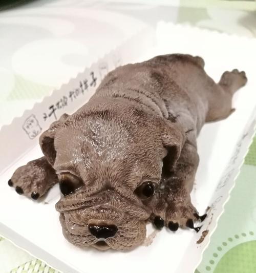 如何帮助宠物沙皮狗解决消化不良问题（从饮食、运动、药物多角度入手，让沙皮狗健康又开心）
