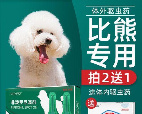 小心跳蚤和虱子！狗狗身上这些小东西竟然会给你带来这些影响