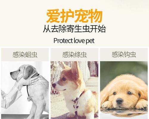 如何判断狗狗需要体内驱虫？（以症状为判断依据，提前预防更安全）