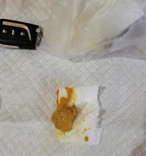 小猫拉肚子后睡觉怎么办（以宠物为主，关注小猫的健康）