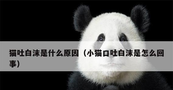 宠物猫吐白沫的原因及应对措施（识别症状，正确处理，让宠物健康长寿）