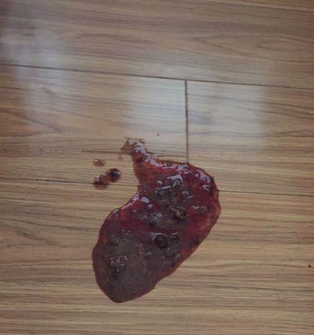 幼犬饭后呕吐原因分析（从饮食、生理、环境等多个方面深入分析幼犬呕吐问题）