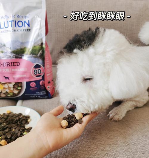 幼犬狗粮喂食指南（每日摄食量及营养成分分析，了解宠物健康饮食）
