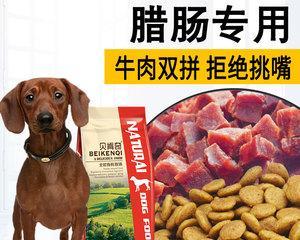 成年腊肠狗的适量狗粮喂养指南（饲养腊肠狗，如何科学喂食？）