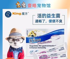 营养膏是猫咪的福音，但多吃会导致软便（宠物养护必看，营养膏的正确使用方法和副作用）