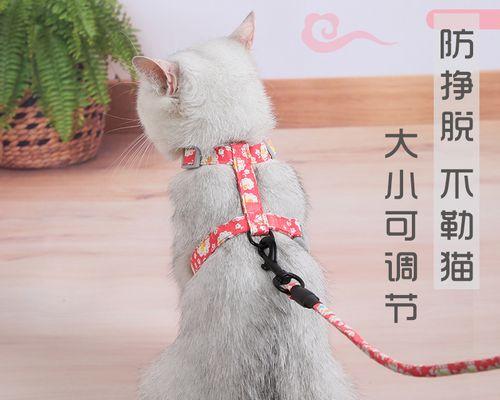 如何正确佩戴宠物猫肩带式牵引绳（让你的爱猫出门更舒适——宠物猫肩带式牵引绳的正确佩戴方法）