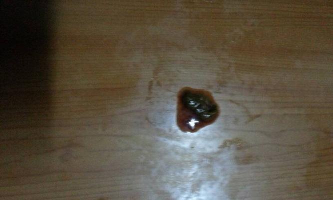 宠物拉稀带血的原因及治疗方法（解析狗狗拉稀带血的症状、原因和预防方法，让宠物更健康）