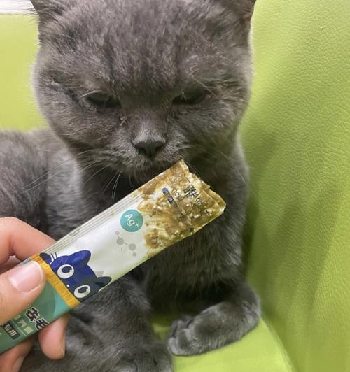 化毛膏是否适用于狗狗？（探究化毛膏的成分与适用范围）