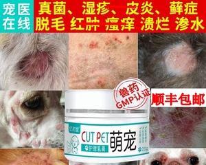 狗狗毛藓的症状、治疗和预防方法（以狗狗得猫藓图片为例，了解这种皮肤病的危害和应对措施）