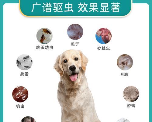 为宠物做驱虫，多少钱才合适？（以狗狗为例，一次驱虫需要多少费用？-驱虫费用）