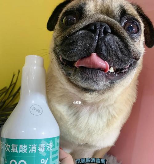 家养狗狗必须知道的消毒方法（如何保证宠物健康？——从消毒开始）