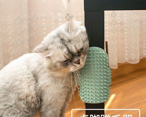 猫咪蹭脸的真正含义（从猫咪行为角度解读蹭脸，让你更了解宠物）