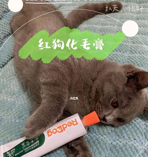 猫咪的化毛膏能否给狗吃？（宠物护理中的误区和危害）