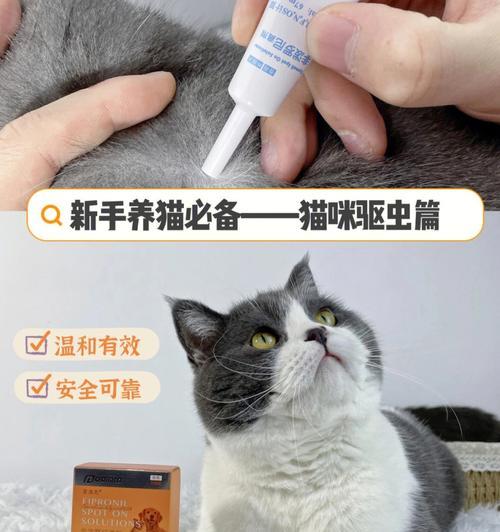 猫咪驱虫药使用攻略（了解适用时间、注意事项，让宠物健康无忧）