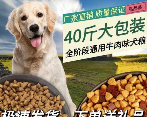 大型哈士奇每月所需狗粮量分析（以宠物为主的科学喂养方法，掌握每个月不同体重的哈士奇狗粮量）