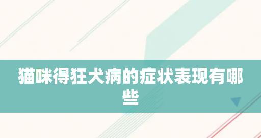狂犬病的症状与防控（以宠物为主，预防为先）