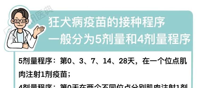 狗狗打了疫苗感冒该如何用药治疗？（细心呵护，给爱宠健康保驾护航。）