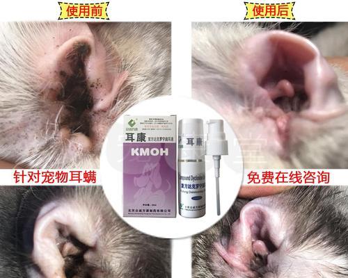 宠物狗耳朵里进东西了怎么办？（救命！狗狗耳内异物的处理方法）