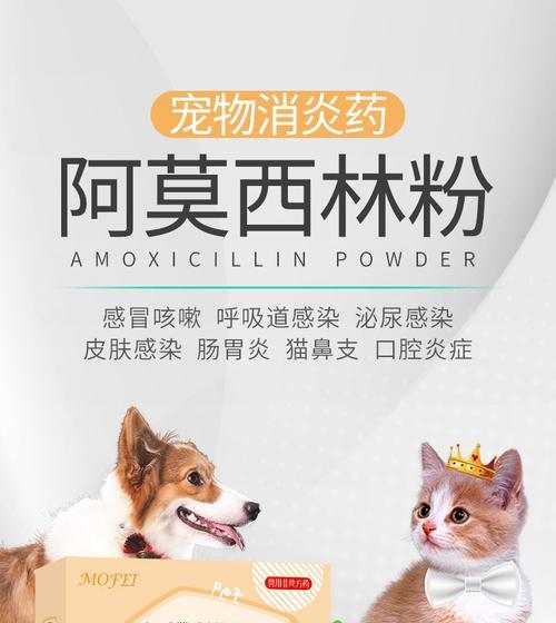 狗狗感冒咳嗽该怎么办？（药物治疗、注意事项与预防措施）