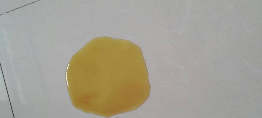 狗狗拉粑粑带血丝，你需要知道的事情！（解读狗狗粪便带血现象，保护宠物健康！）