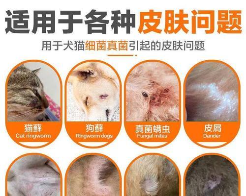 治疗狗狗身上螨虫，你需要知道的药物（一份详细的治疗螨虫药物清单和使用指南）