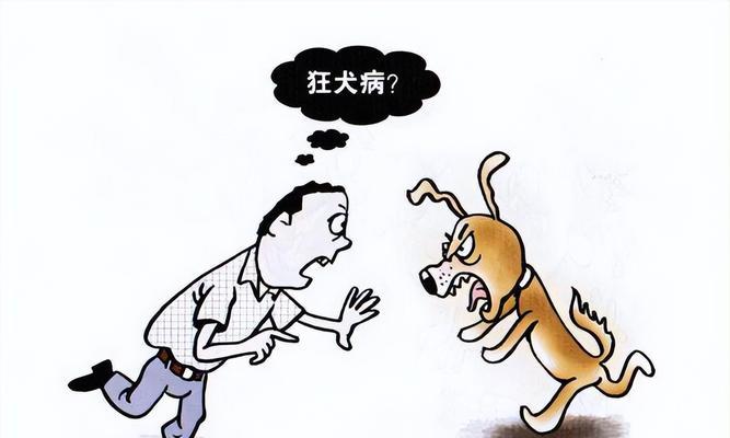 如何判断狗狗是否感染狂犬病毒（以宠物为主，了解预防和治疗的方法）